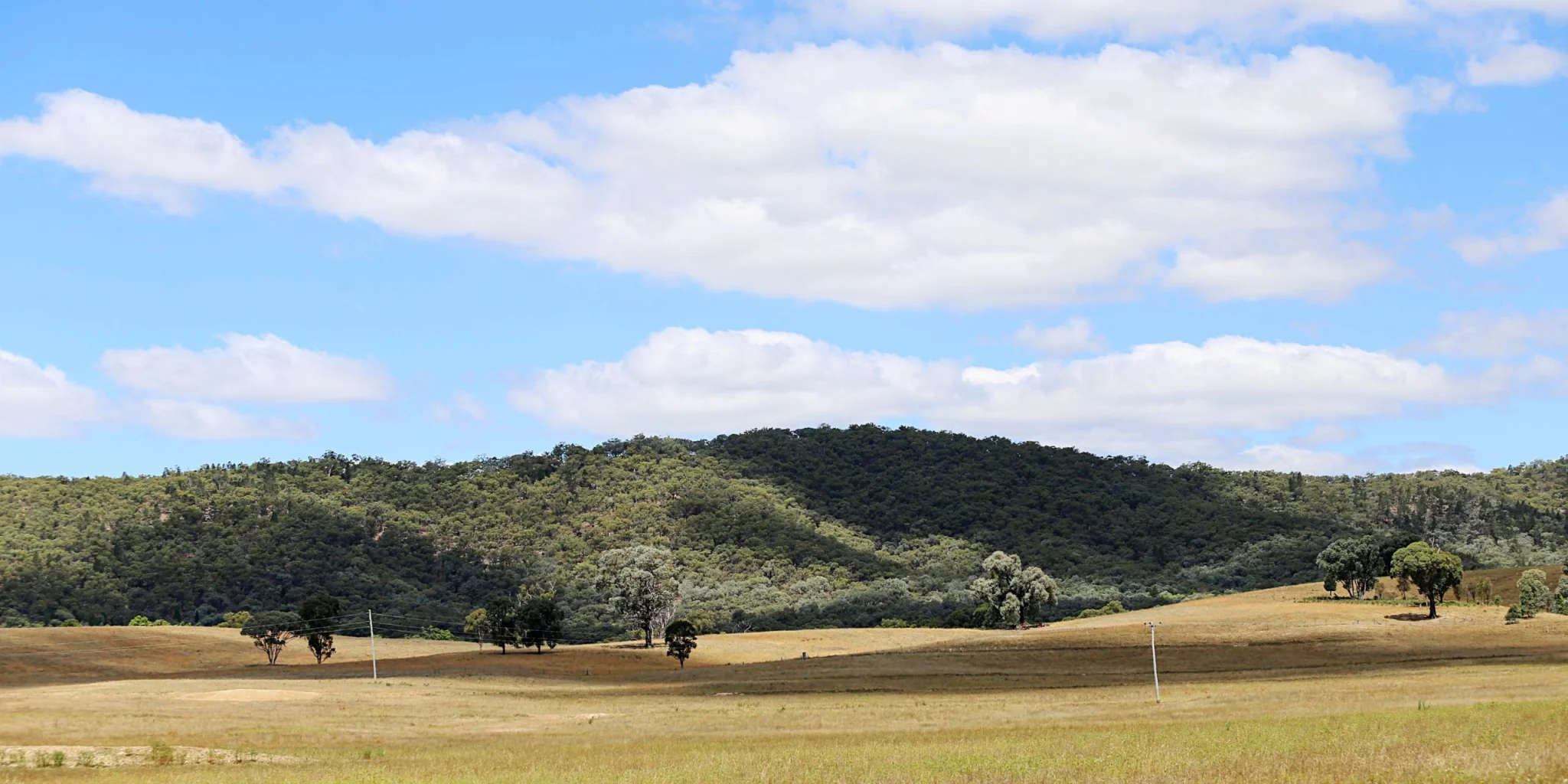 Rural South Australian countryside. Hills covered in trees in the distance. Paddock in the foreground.
